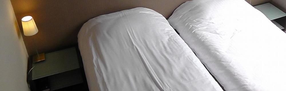 Hotel Royal Astrid Aalst Dış mekan fotoğraf
